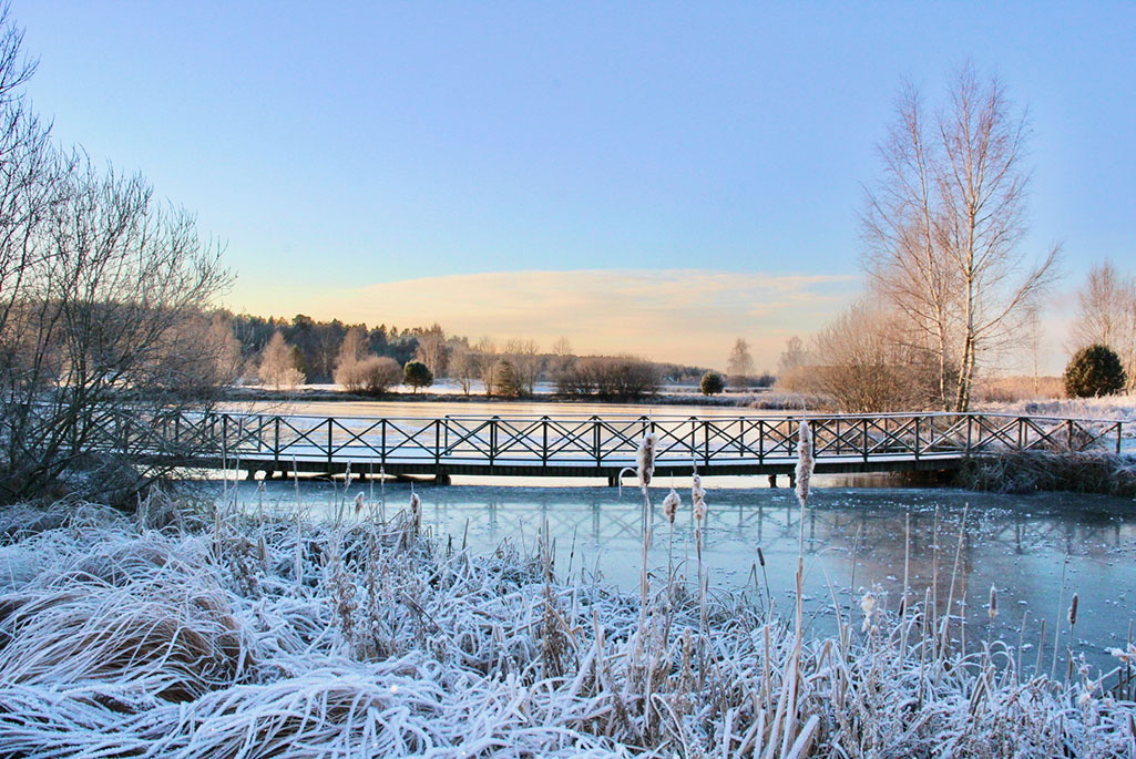 Foto på en bro i vattenparken under vintern. I förgrunden syns frostprytt gräs framför bron. 